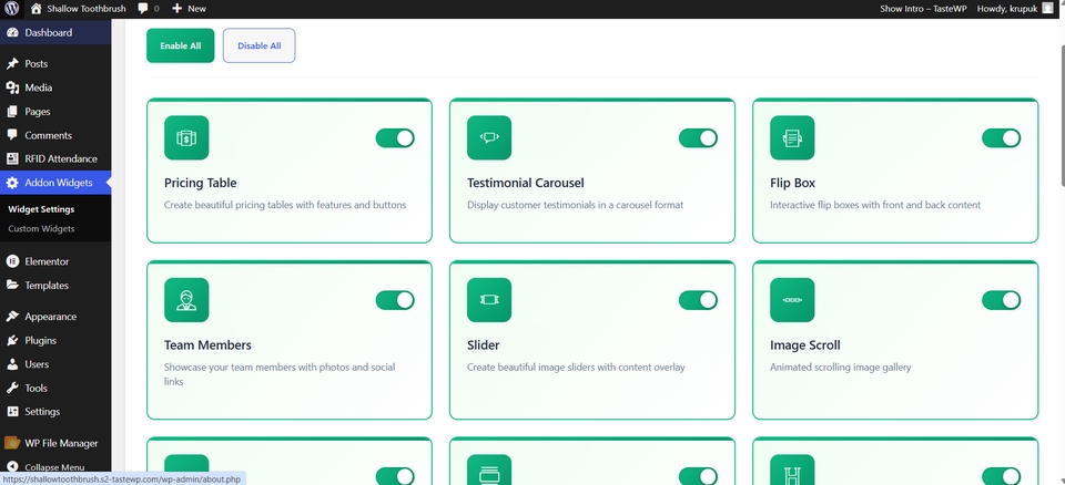 Web Development - jasa pembuatan plugin wordpress custom - 5