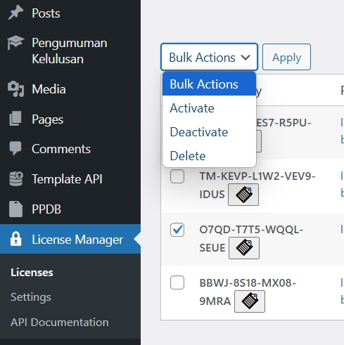 Web Development - jasa pembuatan plugin wordpress custom - 11
