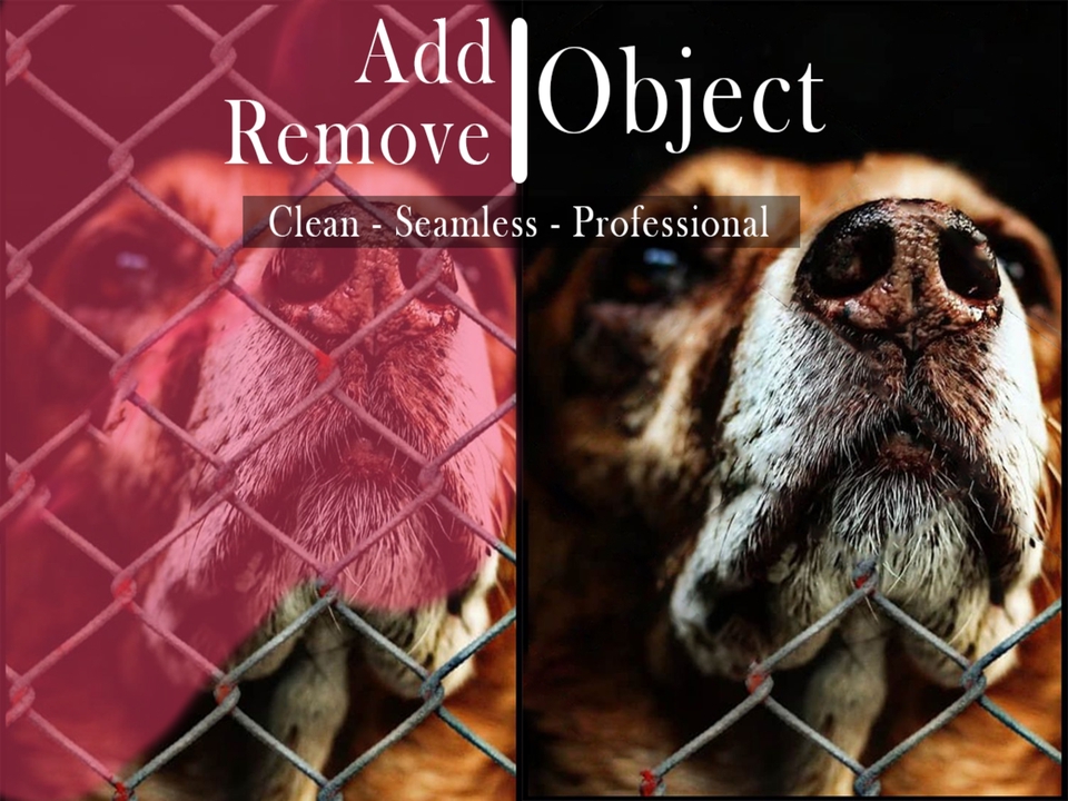 Edit Gambar & Photoshop - Jasa Edit Foto Profesional Photoshop | Photo Editing, Retouch, Background Removal & Manipulation - 11
