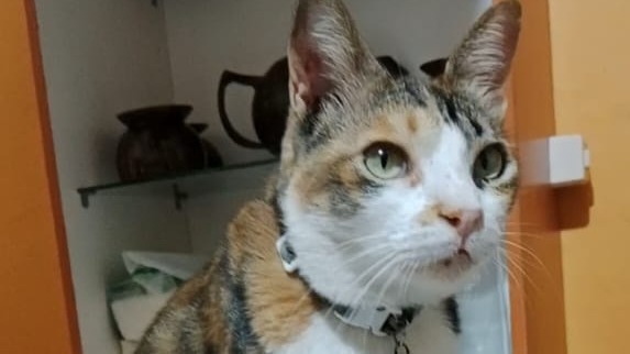 Jasa Admin Website, Media Sosial & Toko Online - admin