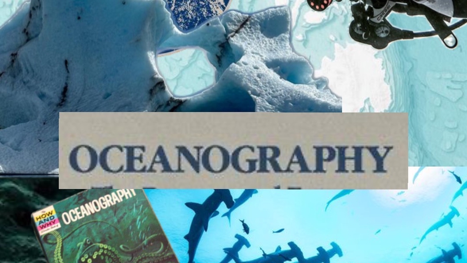 Pemodelan Sebaran Limbah MIKE21