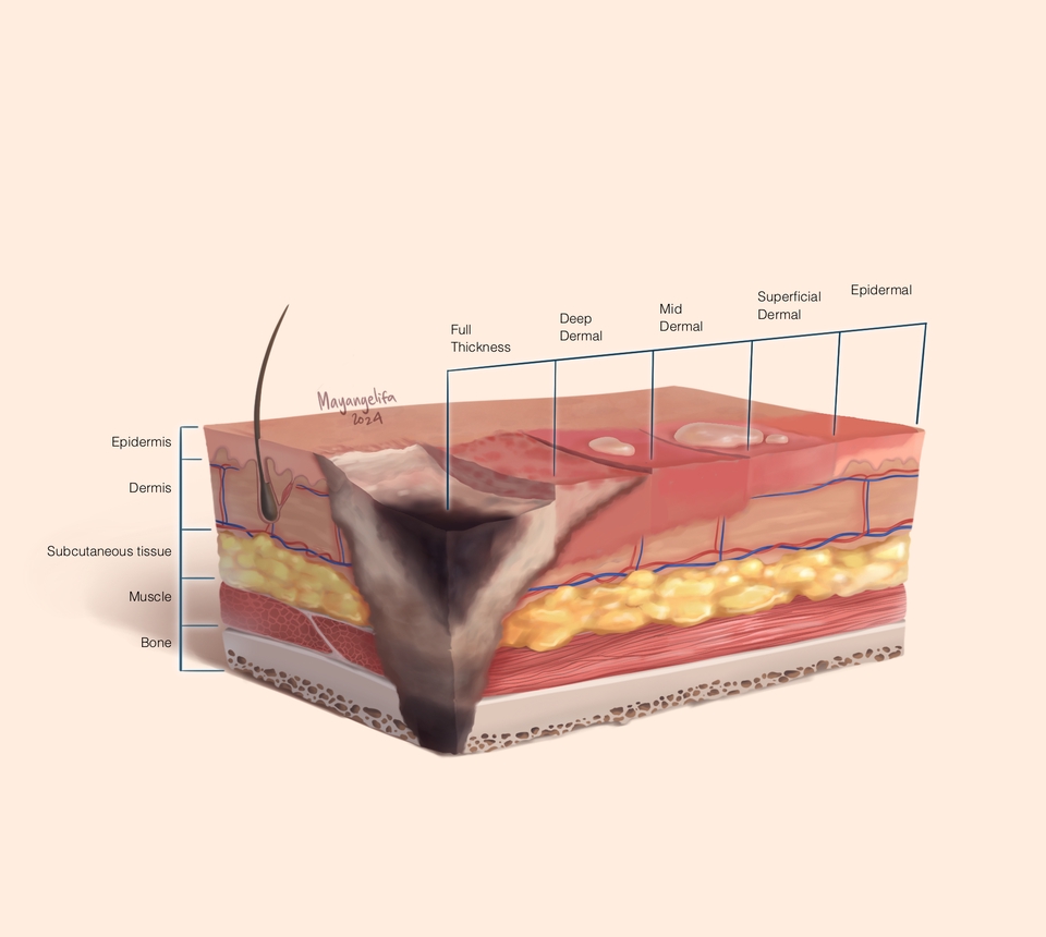 Gambar dan Ilustrasi - Ilustrasi Medis, Sains/Saintifik, Kedokteran dan Kesehatan - 2