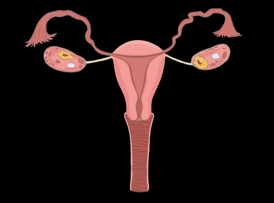 Gambar dan Ilustrasi - Ilustrasi Medis, Sains/Saintifik, Kedokteran dan Kesehatan - 6
