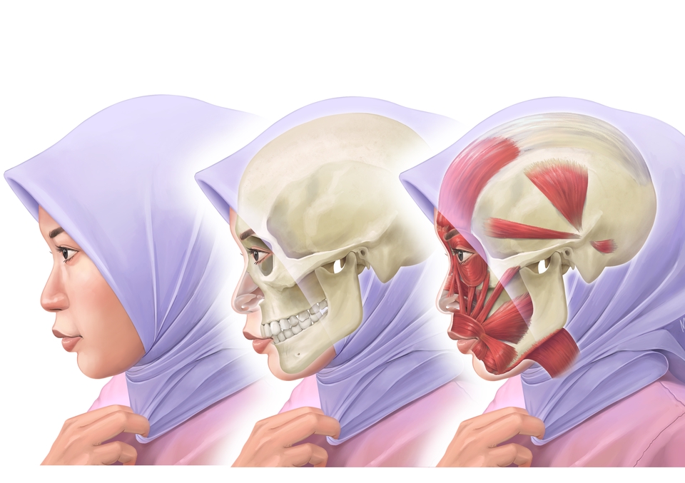 Gambar dan Ilustrasi - Ilustrasi Medis, Sains/Saintifik, Kedokteran dan Kesehatan - 7