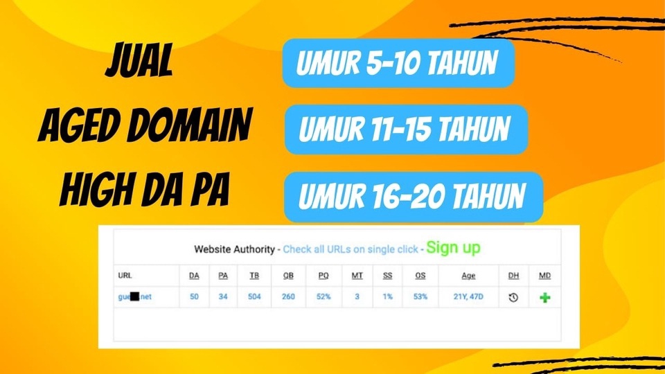 Jasa Lainnya di Pemasaran dan Periklanan - Aged domain DR 30+