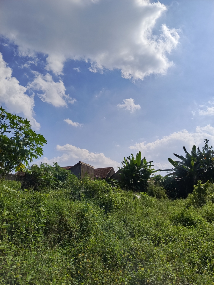 Agen - Agen Properti - 3