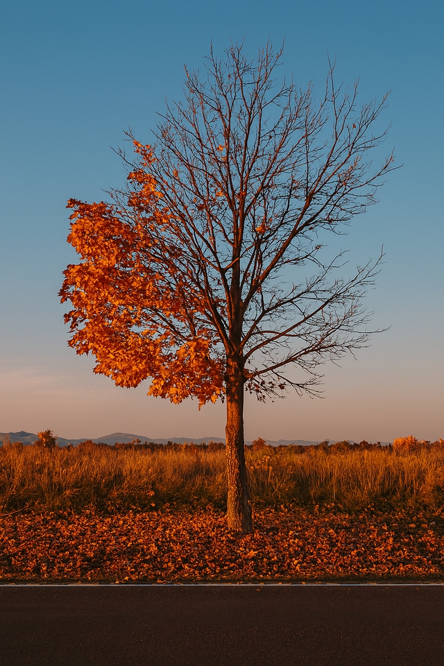 Fotografi - Photografer & Videografer - 22
