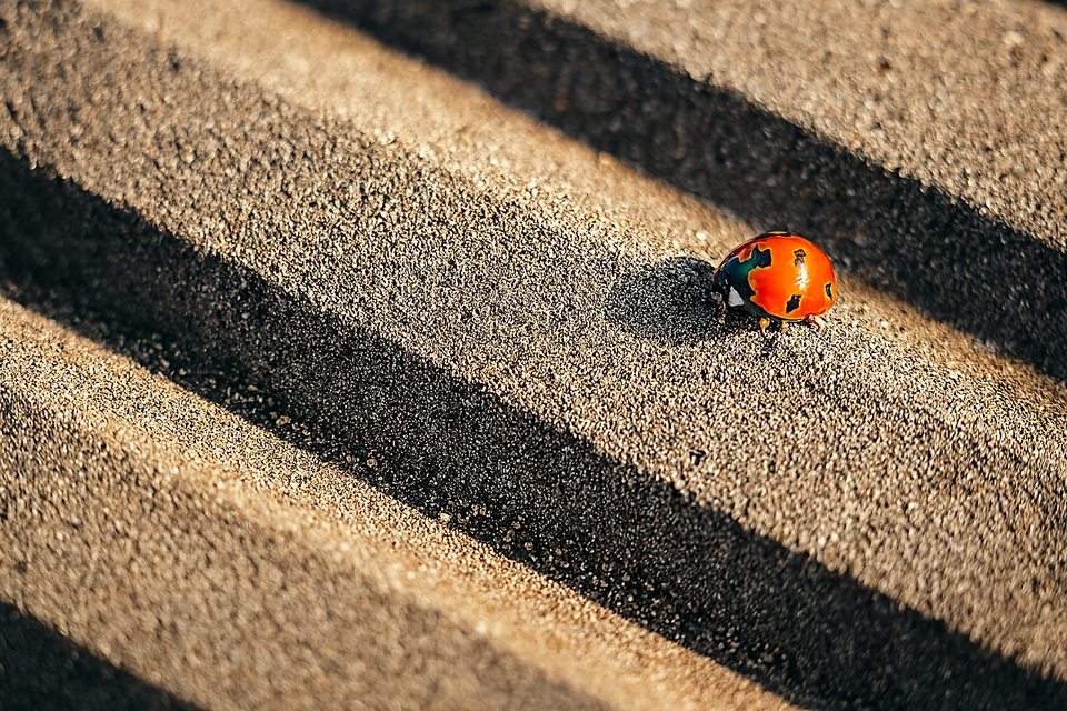 Fotografi - Photografer & Videografer - 27