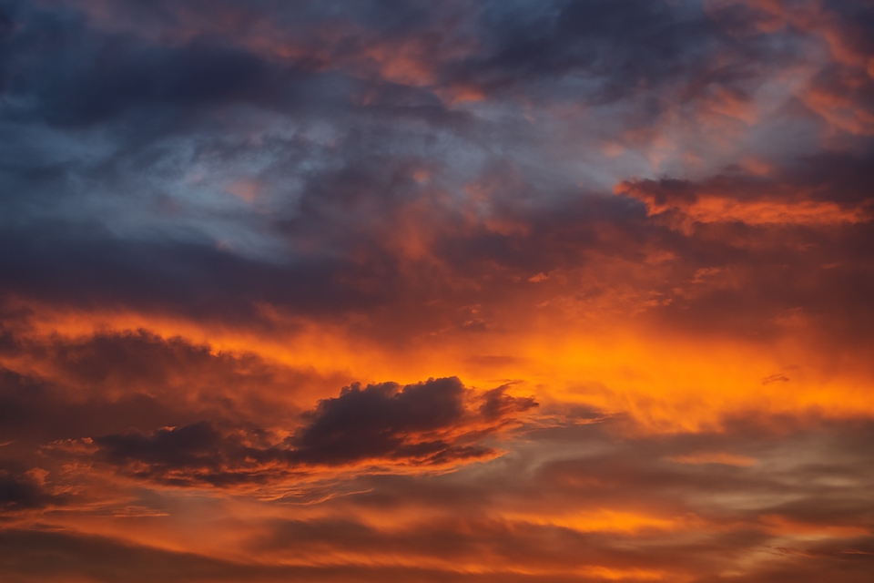 Fotografi - Photografer & Videografer - 7