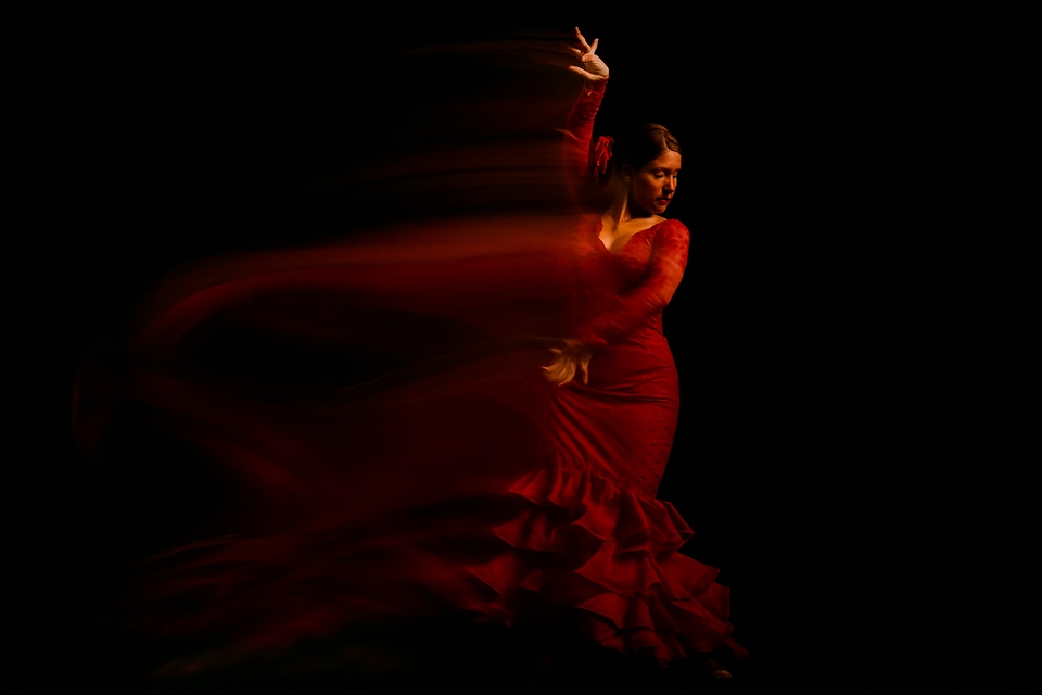 Fotografi - Photografer & Videografer - 11