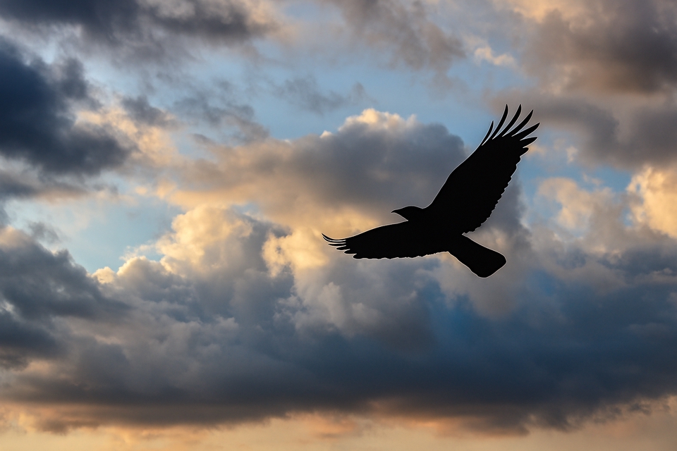 Fotografi - Photografer & Videografer - 8