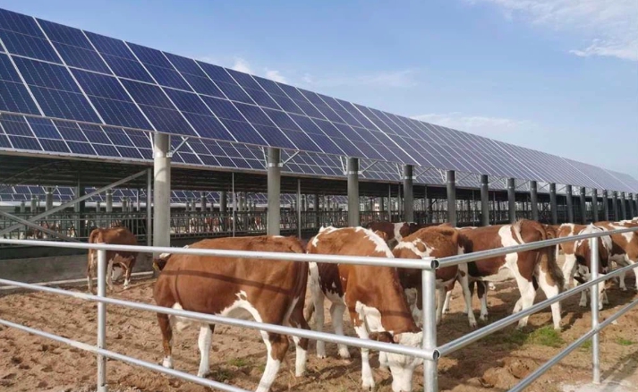 Jasa Lainnya - Consultant Pengadaan dan Pemasangan Solar cell/Panel Surya - 14