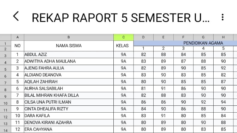 Input data, rekapitulasi data, statistik, keuangan dsb