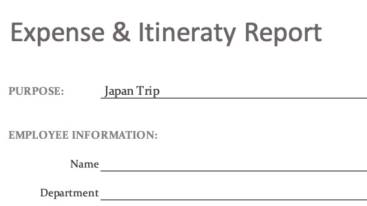 Itinerary & Expenses Report