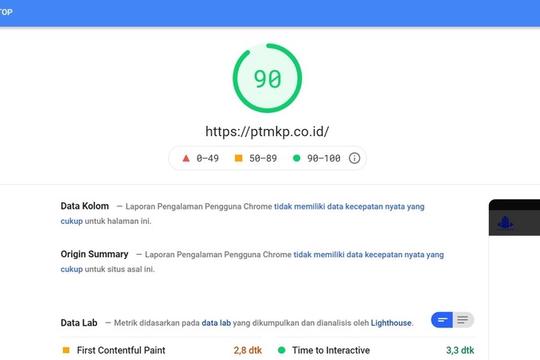 Jasa SEO Profesional, Terpercaya, dan Berkualitas - Optimasi Kecepatan / Page speed WordPress (BERGARANSI & 1x24JAM)