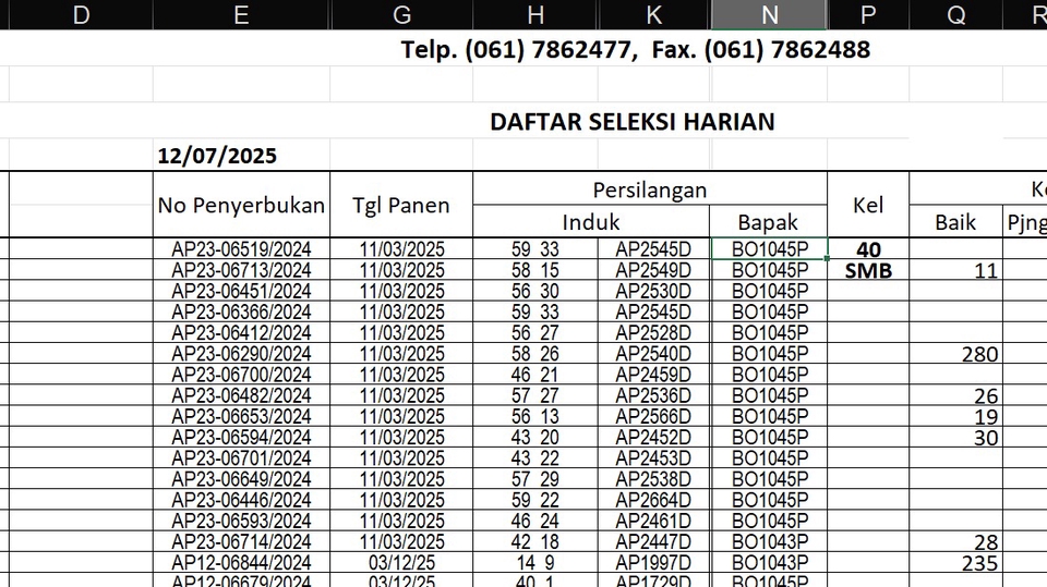 Jasa Pembuatan Dashboard Excel Profesional untuk Visualisasi Data Bisnis - Excel worker