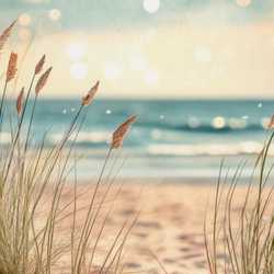 aleena_354