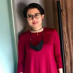 APSejahtera Consulting