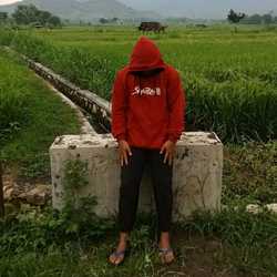 brvzkrisna