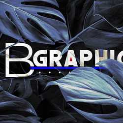 bgraphicsign