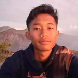 salman17