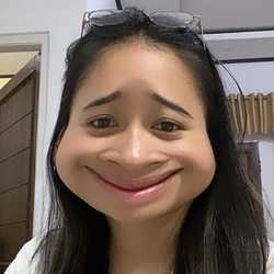 Vie Lansa Rinesha