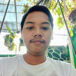 robbybintangfirdaus