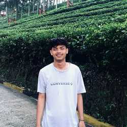 fallentyno