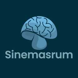Sinemasrum Storyworks