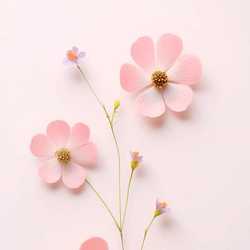 Pinky123