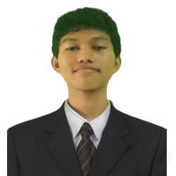 M. Satrio Darmawanto