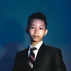 Mirza Zulfadhli Amin