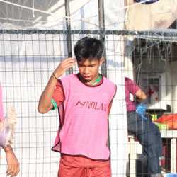Arif