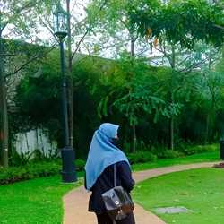 freelance 3bn5xhul