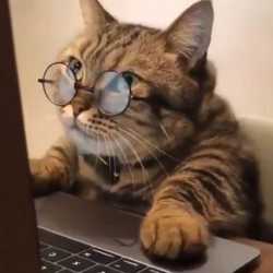 Muhamad Topan Alkahari