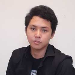 Dzulfikri S.