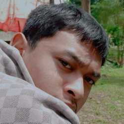 Dauci
