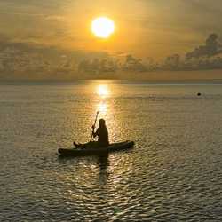 kecapin