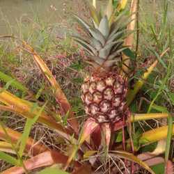 jasa cat finishing duco dll