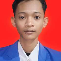 Ardi