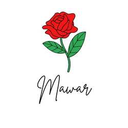 Mawar