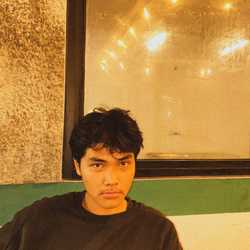 mhd. firza wahyudi