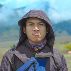 danditri
