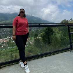 Hendriana Anggi
