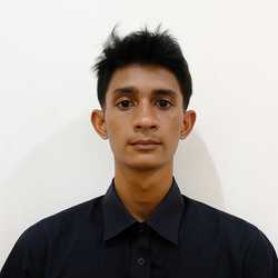 wisnu sandi wardana