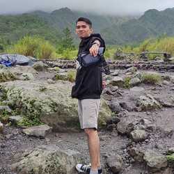 incognito wolf jasa website