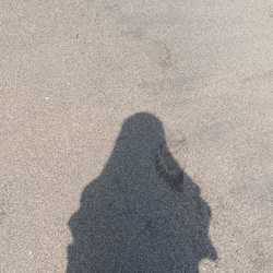 Mariam ulfah