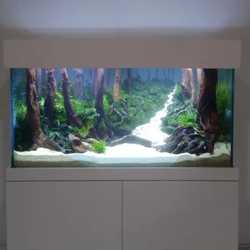 Aquascape Jakarta