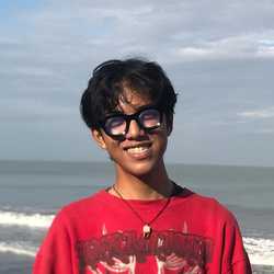 Dwi Sulthon