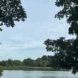 Permata
